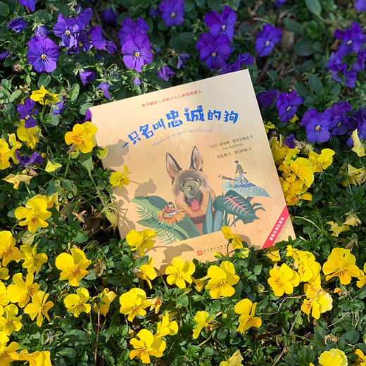 塞普尔维达童话 全4册 经典寓意式童话友情人与自然动物智利作家 商品图2