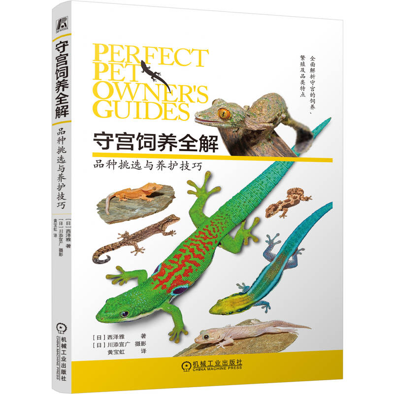 守宫饲养全解：品种挑选与养护技巧
