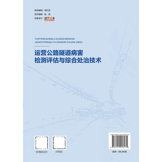 运营公路隧道病害检测评估与综合处治技术 商品图1