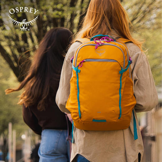 OSPREY 小鹰 AXIS 轴心24L城市通勤双肩电脑背包旅行双肩包男 商品图2