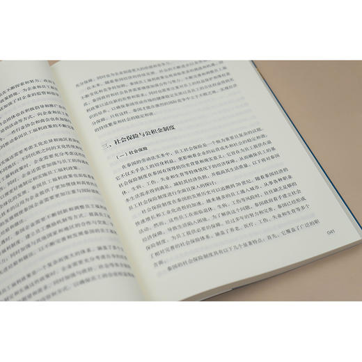 泰国劳动法律风险防范与实务案例解析  董锋  主编 王天豪 副主编   法律出版社 商品图2