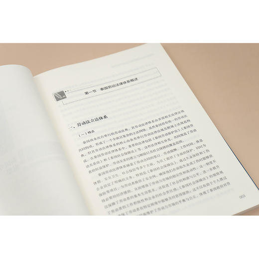 泰国劳动法律风险防范与实务案例解析  董锋  主编 王天豪 副主编   法律出版社 商品图4