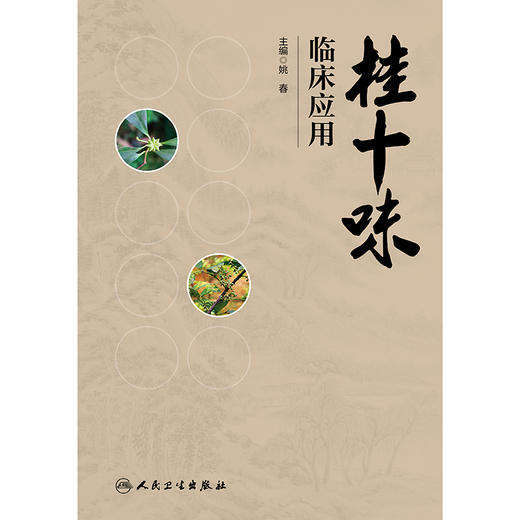 桂十味：临床应用 商品图1