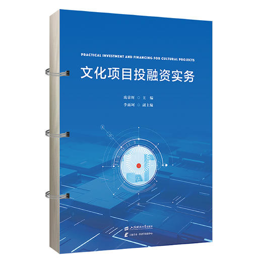 文化项目投融资实务 商品图0