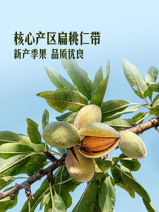 聚便利 x 山姆 去衣扁桃仁 尝鲜分装 20g/袋 商品图2