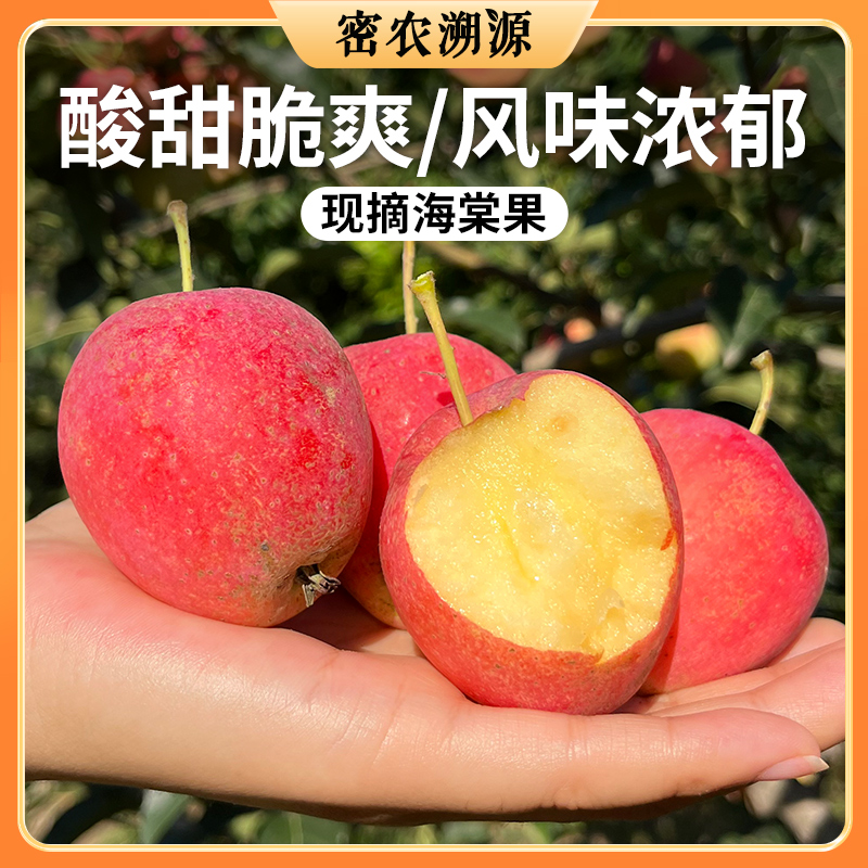 北京脆甜山海棠果 1斤 新鲜水果 口感细腻爽脆 甜度高 小苹果