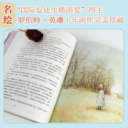 名著名译名绘版 9册任选 低定价售完为止 商品图1