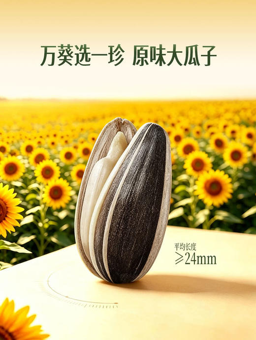聚便利 x 山姆 葵珍原味大瓜子 尝鲜分装 50g/袋 商品图1
