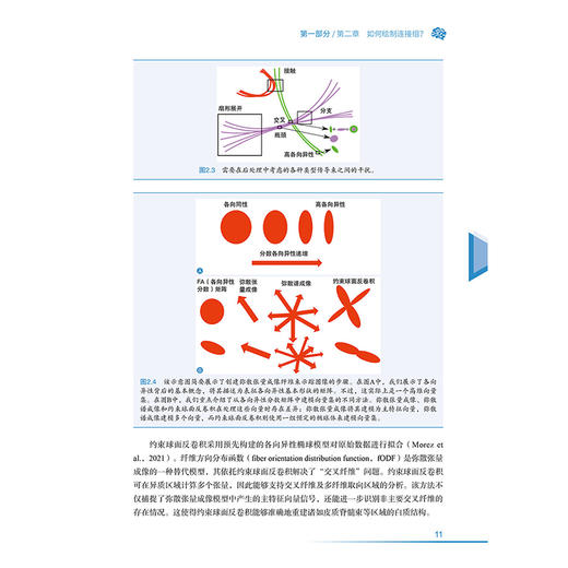 连接组医学：脑病治疗AI辅助决策新方法 张剑宁 程岗 主译 书中涵盖了对各类技术 多元应用 创新理念的深入探讨科学技术文献出版社 商品图4