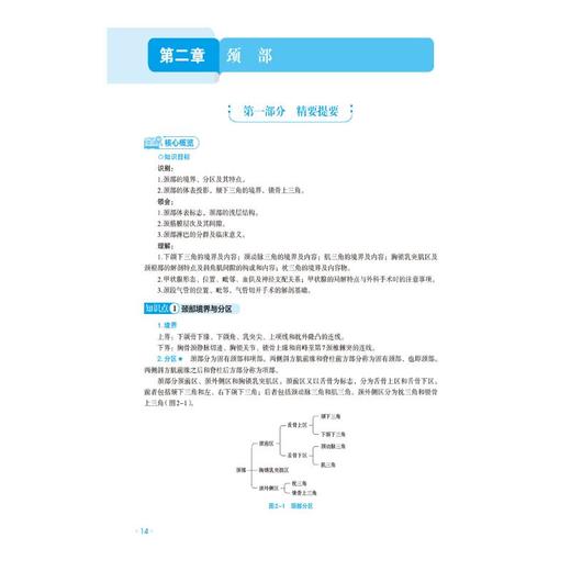 局部解剖学（第3版）（全国高等院校教材精要与习题） 商品图4