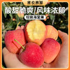 北京山区种植海棠果包邮 个头小巧  口感脆酸甜  果香浓郁  沙果 小苹果 商品缩略图0
