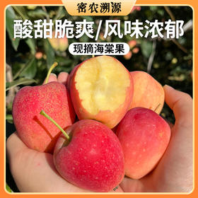北京山区种植海棠果包邮 个头小巧  口感脆酸甜  果香浓郁  沙果 小苹果