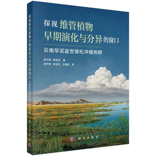 探视维管植物早期演化与分异的窗口——云南早泥盆世坡松冲植物群 商品图0