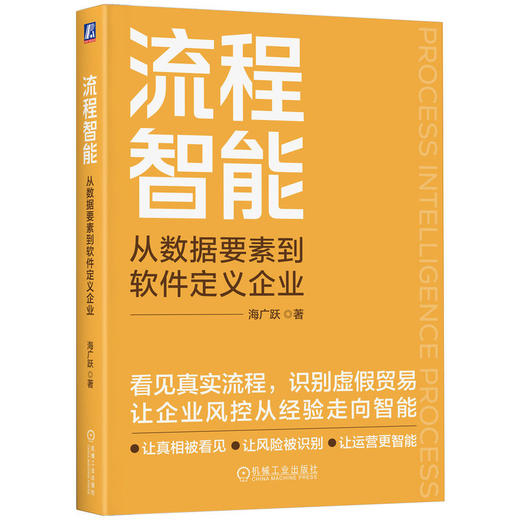 流程智能 从数据要素到软件定义企业 海广跃 企业数字化转型 数据要素 智能体系 合规创新发展 企业管理书籍 商品图0