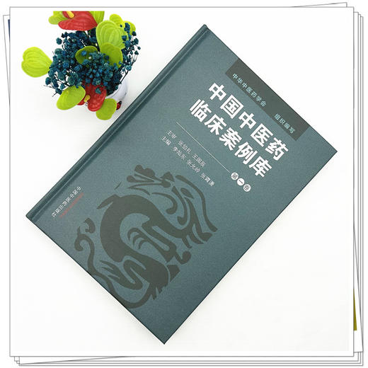 中国中医药临床案例库（第一卷）王国辰 李灿东 张允岭 主编 中华中医药学会 组织编写 中国中医药出版社 商品图1