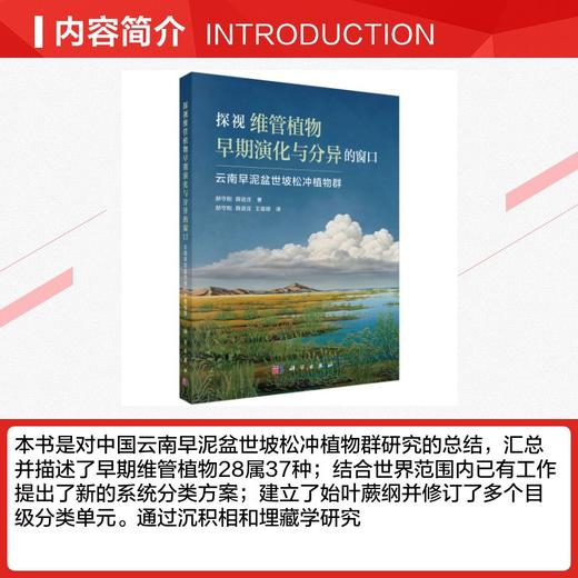 探视维管植物早期演化与分异的窗口——云南早泥盆世坡松冲植物群 商品图2