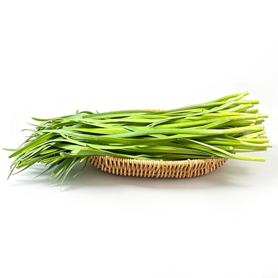 山东生态韭菜 0.5kg