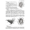 泌尿系统疾病护理 创新教材 配增值 杨艳 主编 高等学校器官 系统整合教材 供护理学专业用 本科 9787117400329 人民卫生出版社 商品缩略图4