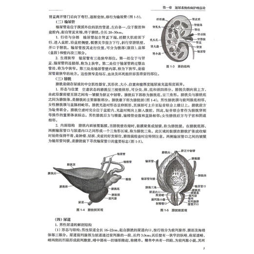 泌尿系统疾病护理 创新教材 配增值 杨艳 主编 高等学校器官 系统整合教材 供护理学专业用 本科 9787117400329 人民卫生出版社 商品图4