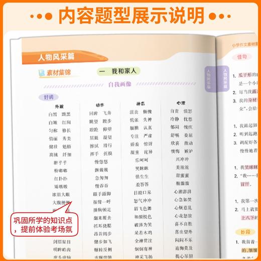 2026秋通成学典专项拔尖特训小学语文阅读80篇小古文100篇英语阅读100篇英语语法阅读理解与完形填空一二三四五六年级通用 商品图3