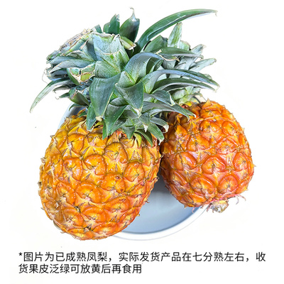 云南凤梨 2.5kg
