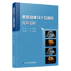 腹部疑难及少见病理超声图解 卜锐 刘小艳 全书共六章 肝脏疾病 胆道疾病 胰腺疾病 脾脏疾病 肾脏疾病 膀胱疾病科学技术文献出版社 商品缩略图1