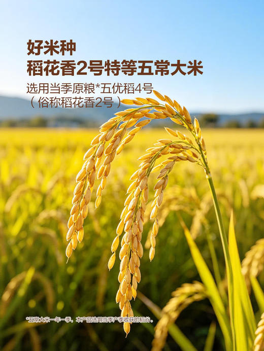 聚便利 x 山姆 黄金产地稻花香米饭 尝鲜分装 210g/碗 商品图4