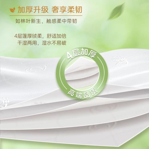 【品牌直发】清风厚柔金品M码4层80抽18包抽取式面巾纸BR10M7H18 商品图6