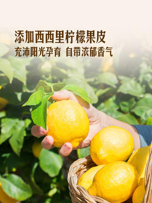 聚便利 x 山姆 St.Michel 法国进口 柠檬清香蛋糕 尝鲜分装 22.5g/枚 商品图2