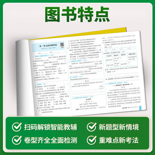 2026秋季通成学典拔尖大试卷小学语文数学英语一二三四五六年级上册任选人教版单元卷期中卷期末卷专项突破卷 商品图2
