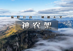 国庆6天｜神农架｜深度打卡神农架6大核心景区の登武当山之巅-观武当一梦-玩转古都洛阳