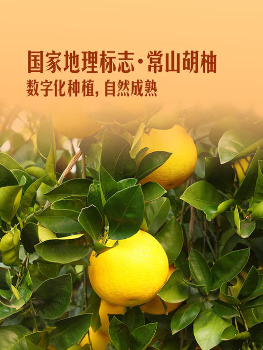 聚便利 x 山姆 艾柚香HPP胡柚混合果汁 分装 300ml/瓶 商品图2
