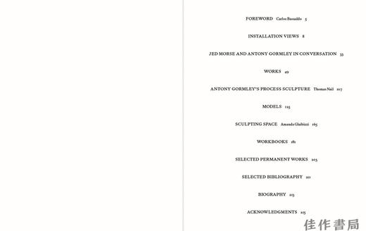 【现货】Antony Gormley: Survey (Nasher Sculpture Center) / 安东尼·葛姆雷：纵观（纳舍尔雕塑中心） 商品图1