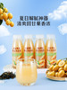 聚便利 x 山姆 FRUTCO 海盐黄皮青玉乌龙茶 尝鲜分装 300ml/瓶 商品缩略图1