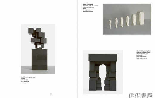 【现货】Antony Gormley: Survey (Nasher Sculpture Center) / 安东尼·葛姆雷：纵观（纳舍尔雕塑中心） 商品图2