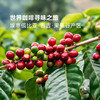 聚便利 x 山姆 布蕾克 埃塞俄比亚古吉挂耳咖啡 尝鲜分装 10g/袋 商品缩略图2