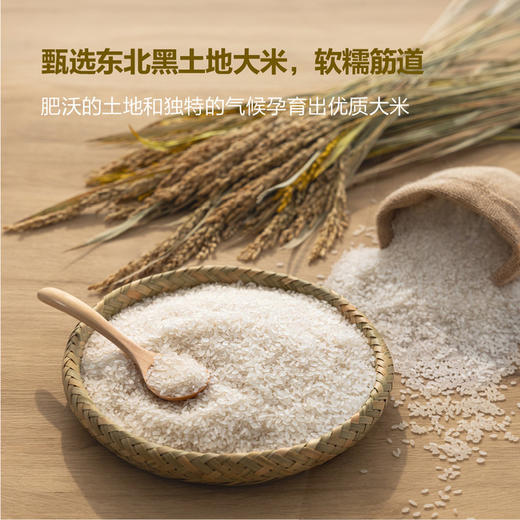 聚便利 x 山姆 圃美多 金枪鱼紫菜包饭卷 尝鲜分装 230g/包 商品图3