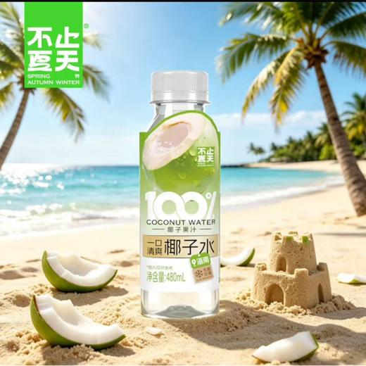 不止夏天480mlNFC椰子水 商品图1