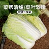 新鲜三宝菜1斤    脆嫩清香 娃娃菜 略带甘甜  清炒蒜蓉都好吃 商品缩略图0