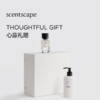 scentscape气味图书馆（手捧花香型）淡香水/淡香精 50ml 商品缩略图2