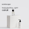 scentscape气味图书馆淡香水（青提茉莉香型） 50ml 商品缩略图2
