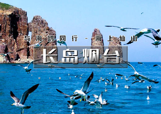 国庆4天｜长岛烟台｜与海鸥同行の深度游长岛-蓬莱仙境-打卡网红养马岛-烟台渔人码头 商品图0