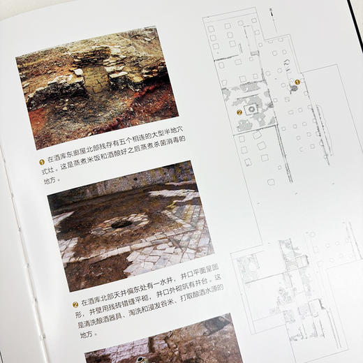 酒香飘四海：宋代广州公使酒库与中国酒文化 商品图5