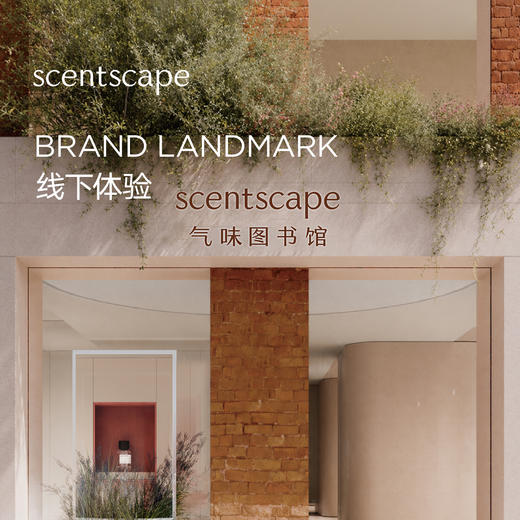 scentscape气味图书馆（凉白开香型）淡香水/淡香精 50ml 商品图4
