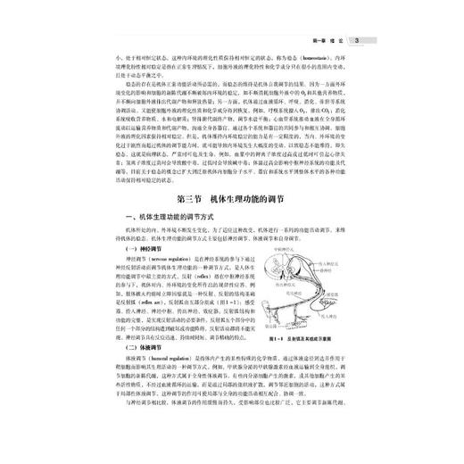 生理学纲要 商品图3