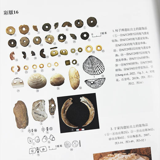 旧石器时代装饰品研究的理论、方法与实践 魏屹 9787030822956 商品图5