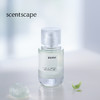 scentscape气味图书馆淡香水（青提茉莉香型） 50ml 商品缩略图0