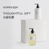 scentscape气味图书馆【洗发露合集】香氛植粹蓬松洗发露250ml 商品缩略图3