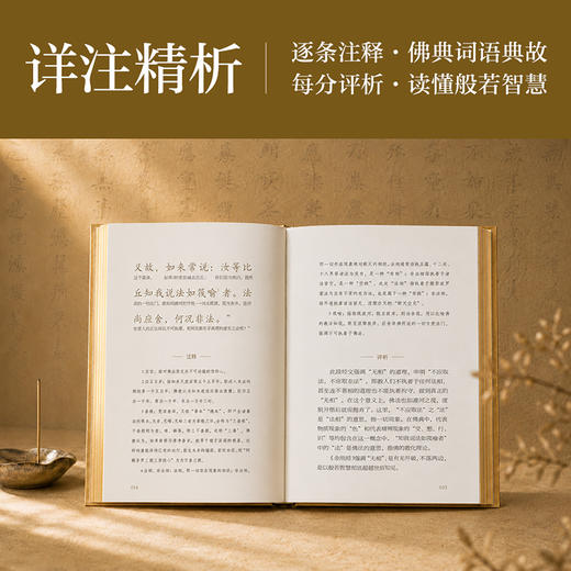 金刚经：全本全译全析（赠折页字贴） 商品图3