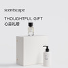 scentscape气味图书馆（凉白开香型）淡香水/淡香精 50ml 商品缩略图2